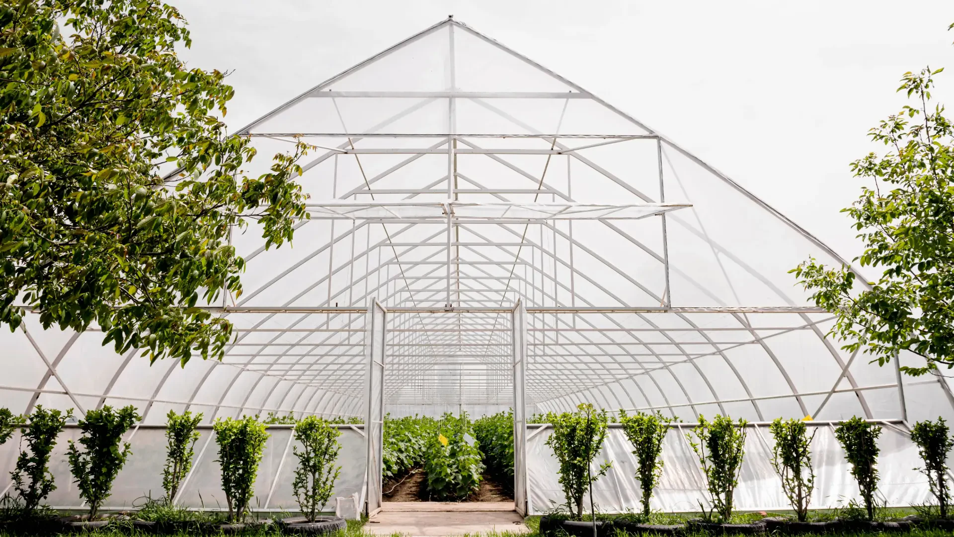 Modern Greenhouse Solutions: Enhancing Crop Production with Smart, Scalable Growing Systems