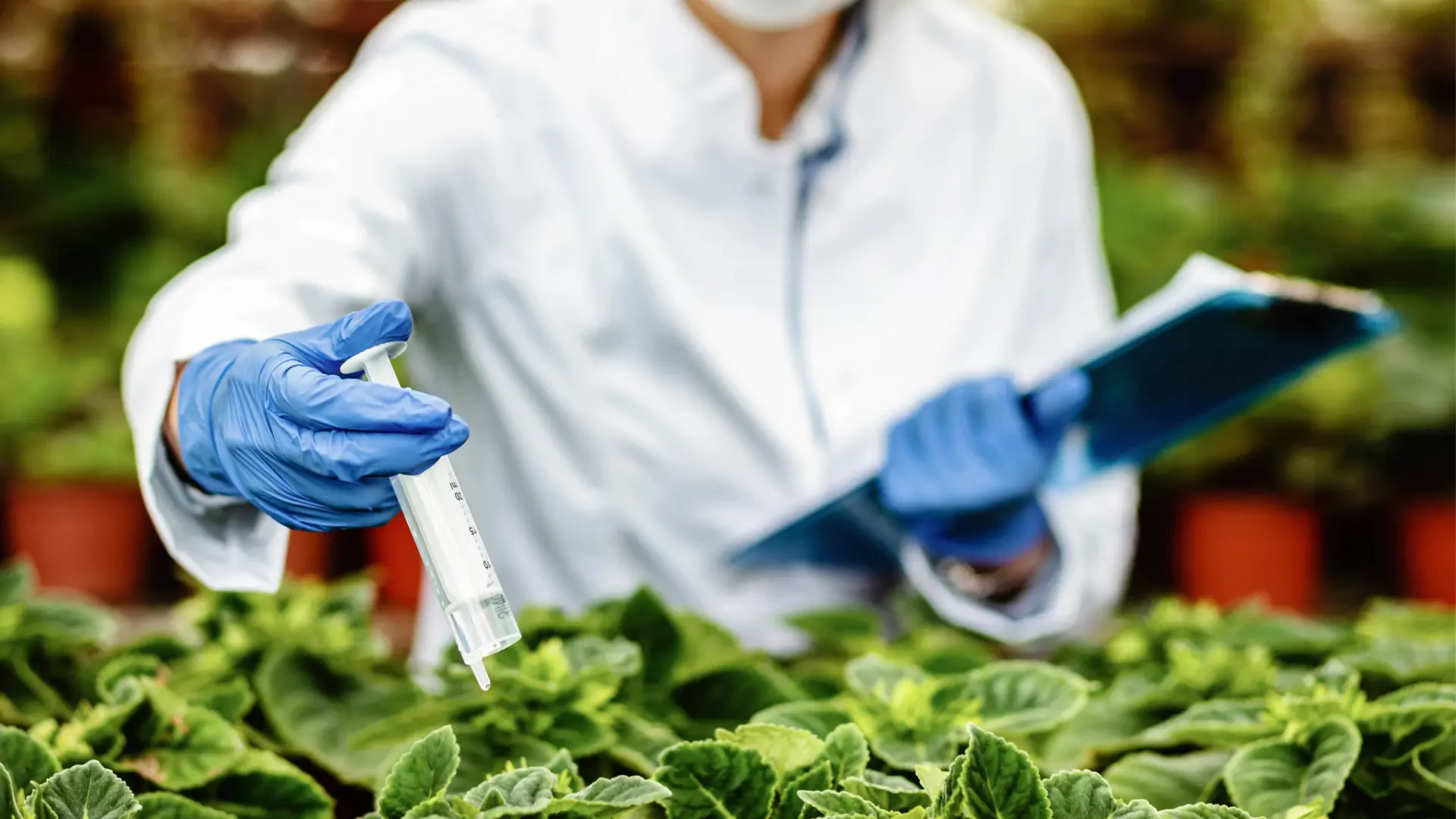 Integrated Pest and Nutrient Delivery Systems for Healthier Crops