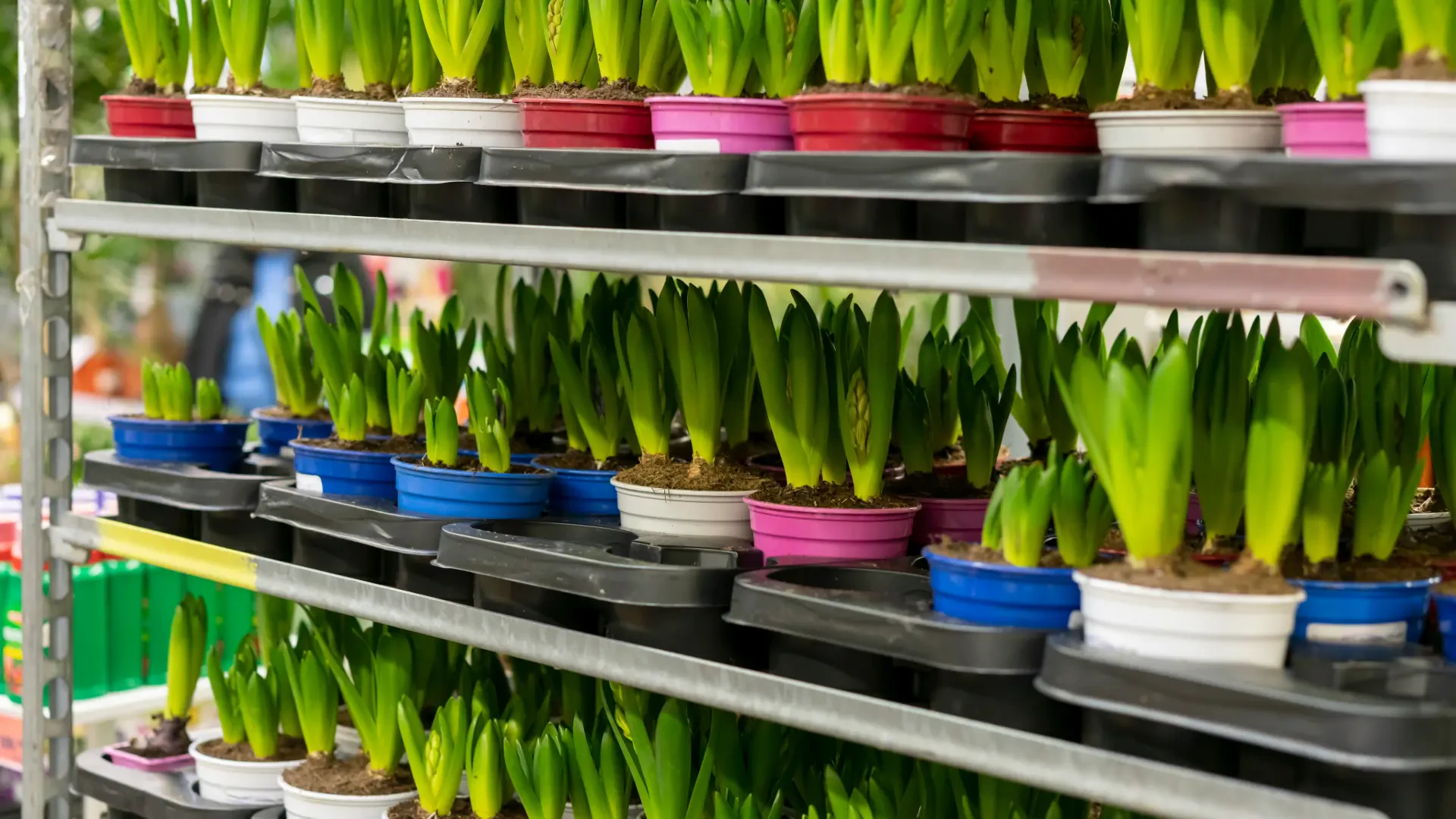 High-Performance Horticultural Media, Greenhouse Equipment and Engineering Tools for Modern Farming