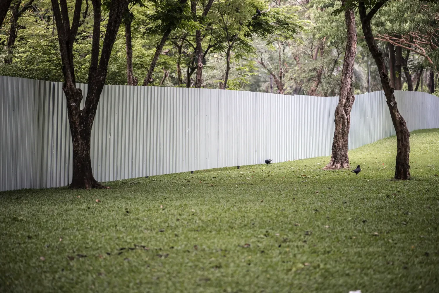 Plastic Fencing for Backyards: Affordable, Durable, and Low-Maintenance