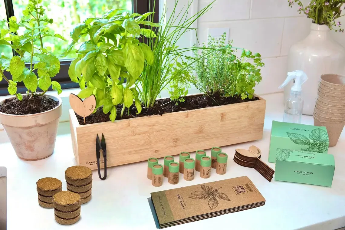 Indoor Herb Garden Kits for Fresh Flavors Year-Round