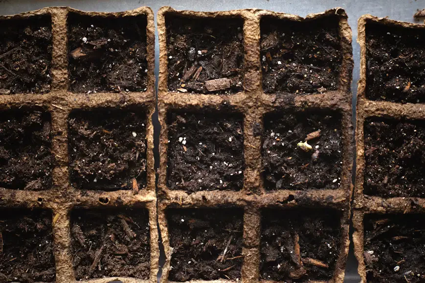 How to Test Soil pH at Home: Simple Methods for Healthy Plants