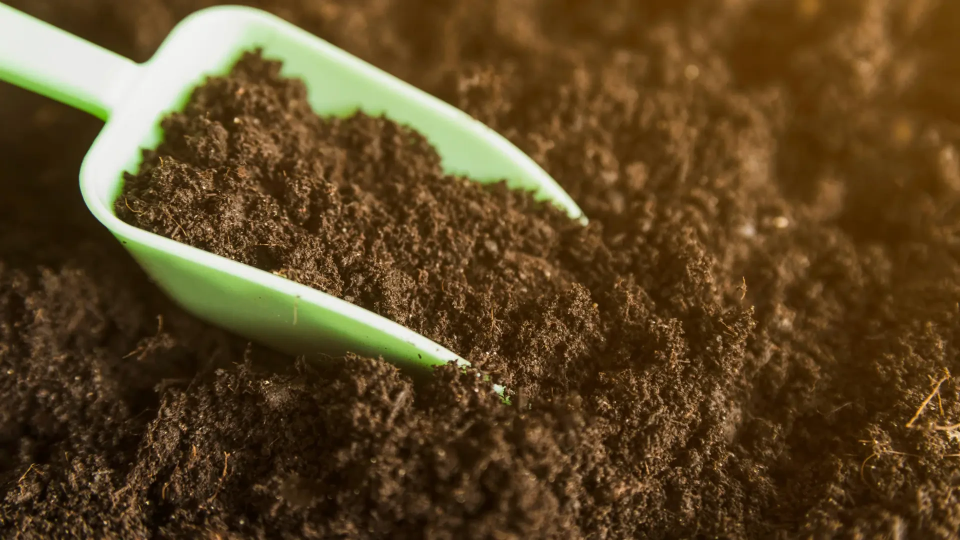 Revolutionizing Plant Health: Organic Biocontrol and Organically-Enriched Soil