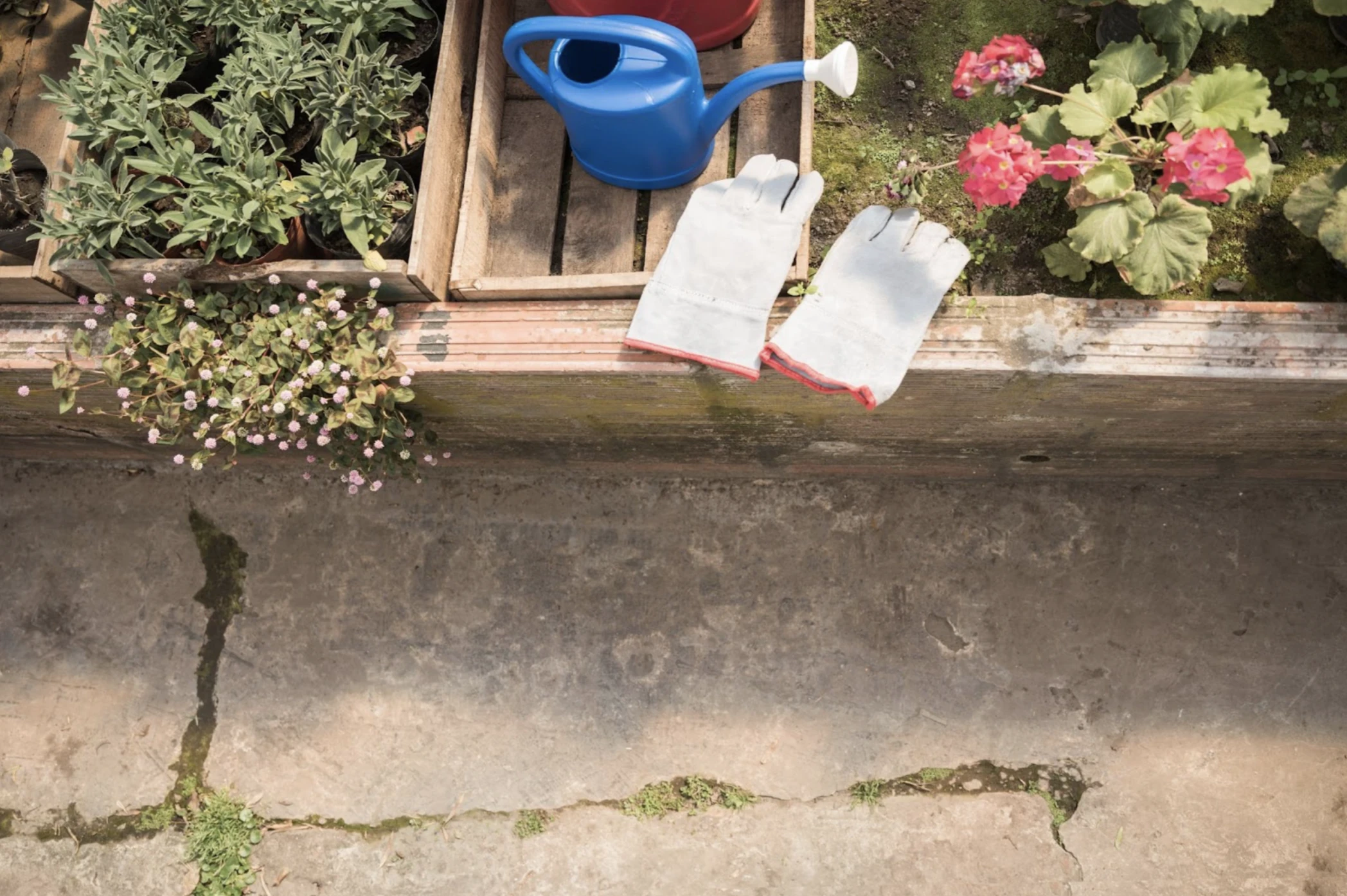 How to Clean a Concrete Patio the Right Way: Tips for a Fresh Outdoor Space