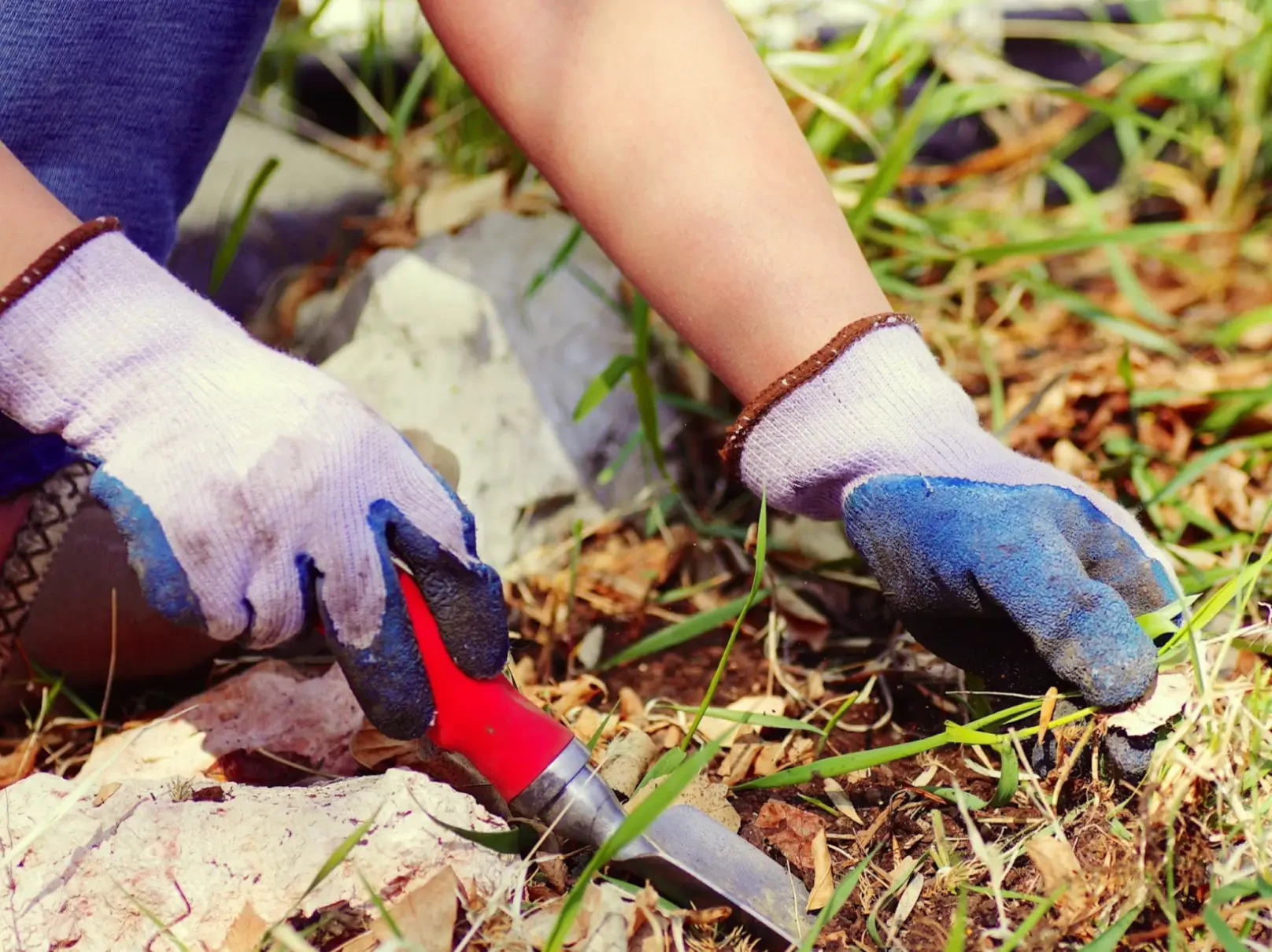 How to Edge a Lawn: Simple Steps for a Sharp, Clean Finish