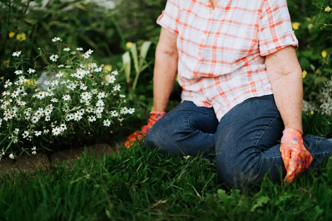 How to Get Rid of Clover in Your Lawn Naturally: Restore a Lush, Weed-Free Yard