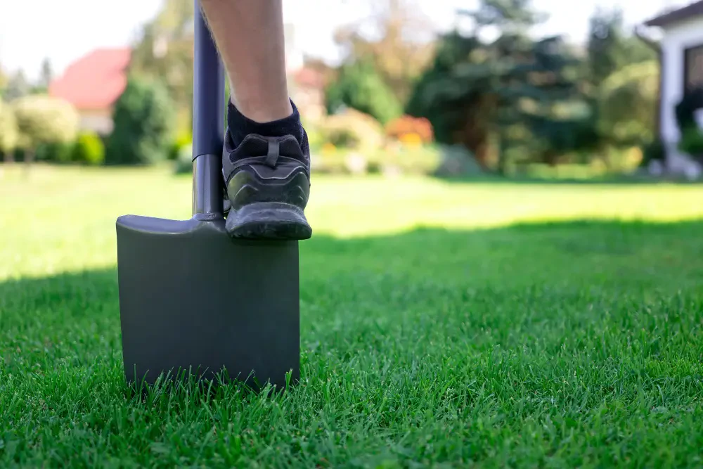 How to Fertilize Your Lawn the Right Way: Simple Steps for a Greener, Healthier Yard