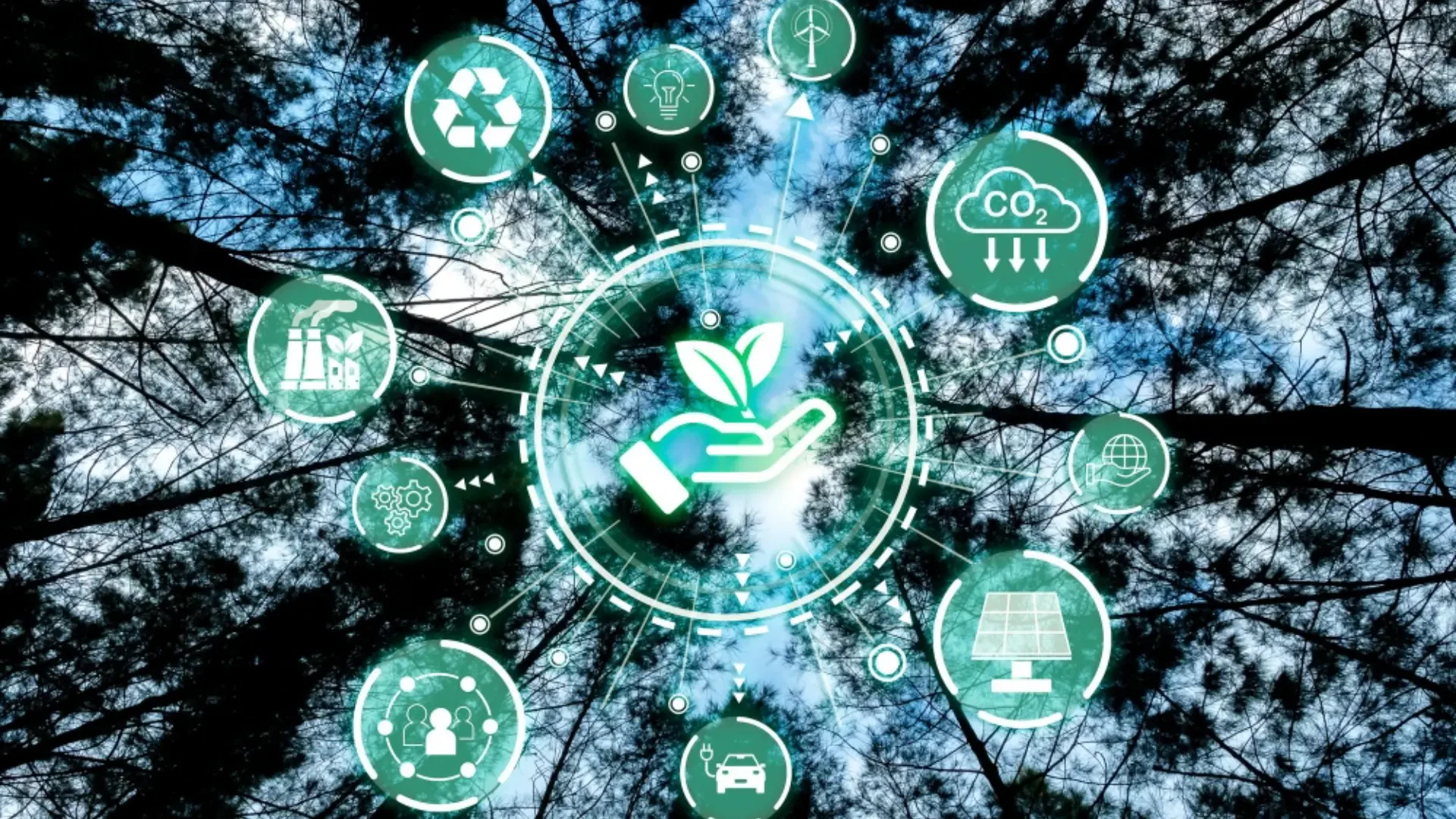 Enhancing Agricultural Efficiency: Innovative Solutions for Controlled Environments and Climate Management
