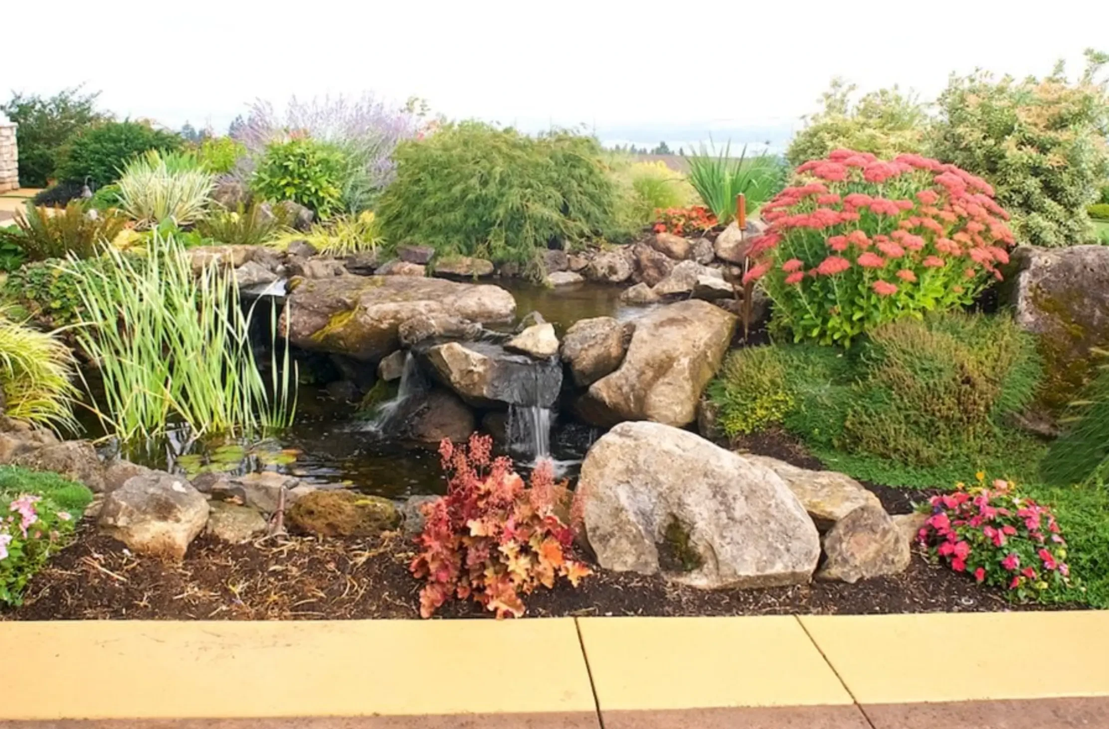 Rock Garden Ideas for Small and Large Spaces: Design, Plants, and Easy DIY Tips