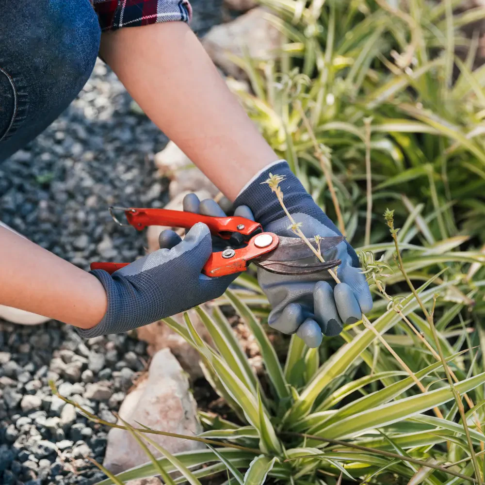 How to Trim Grass Around Fences and Trees Like a Pro: Tools, Techniques, and Safety Tips