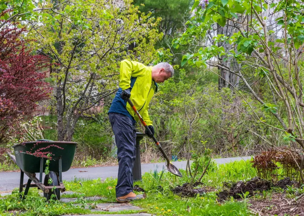 How to Clean Up Your Yard in Spring: Step-by-Step Guide to a Fresh Start