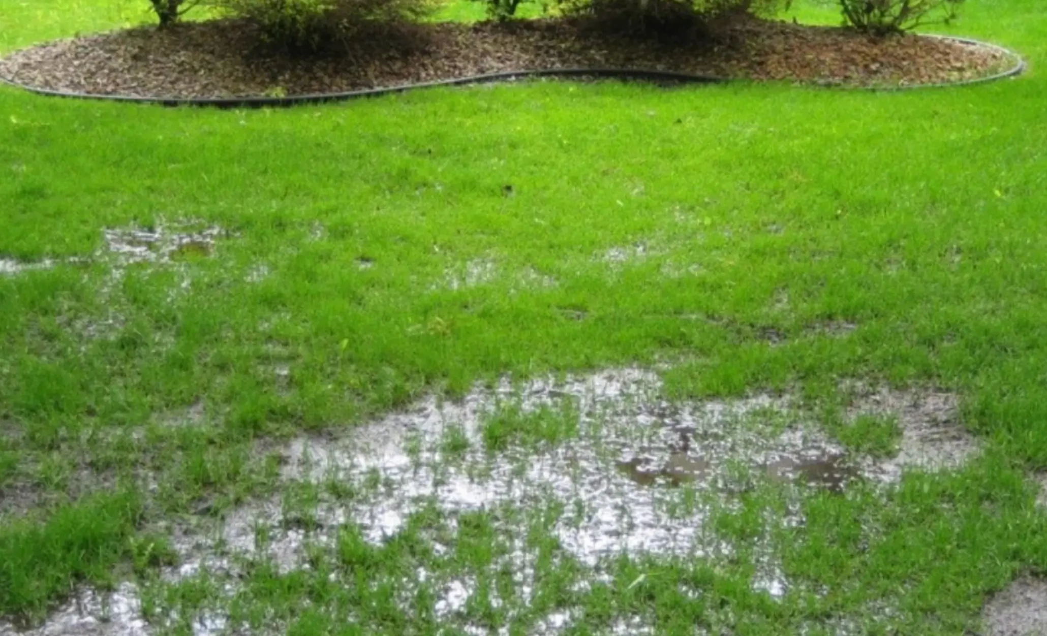 Effective Lawn Drainage Solutions to Fix Standing Water and Soggy Spots