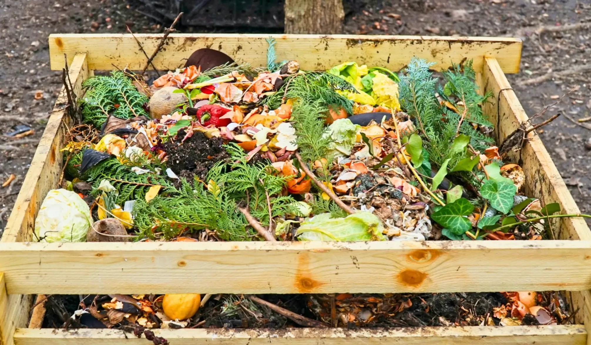 How to Start a Compost Pile: A Simple Guide for Beginners