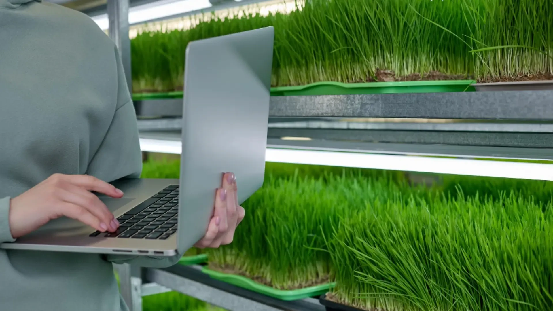 Optimizing Indoor Cultivation: Advanced Tools Driving Efficiency, Safety, and Sustainability
