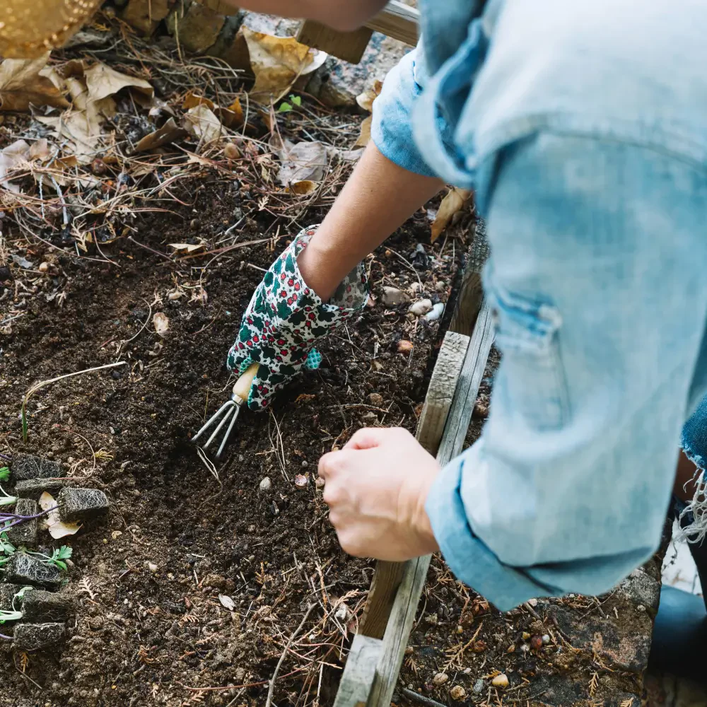 How to Reseed Bare Spots in Your Lawn for a Lush, Even Look