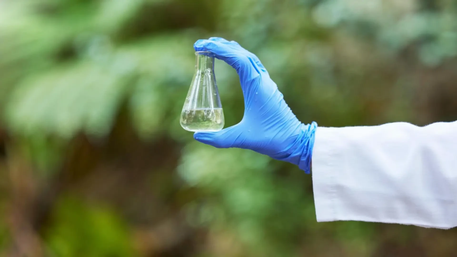 Optimizing Agricultural Water Quality: Advanced Filtration and Fertilization Solutions