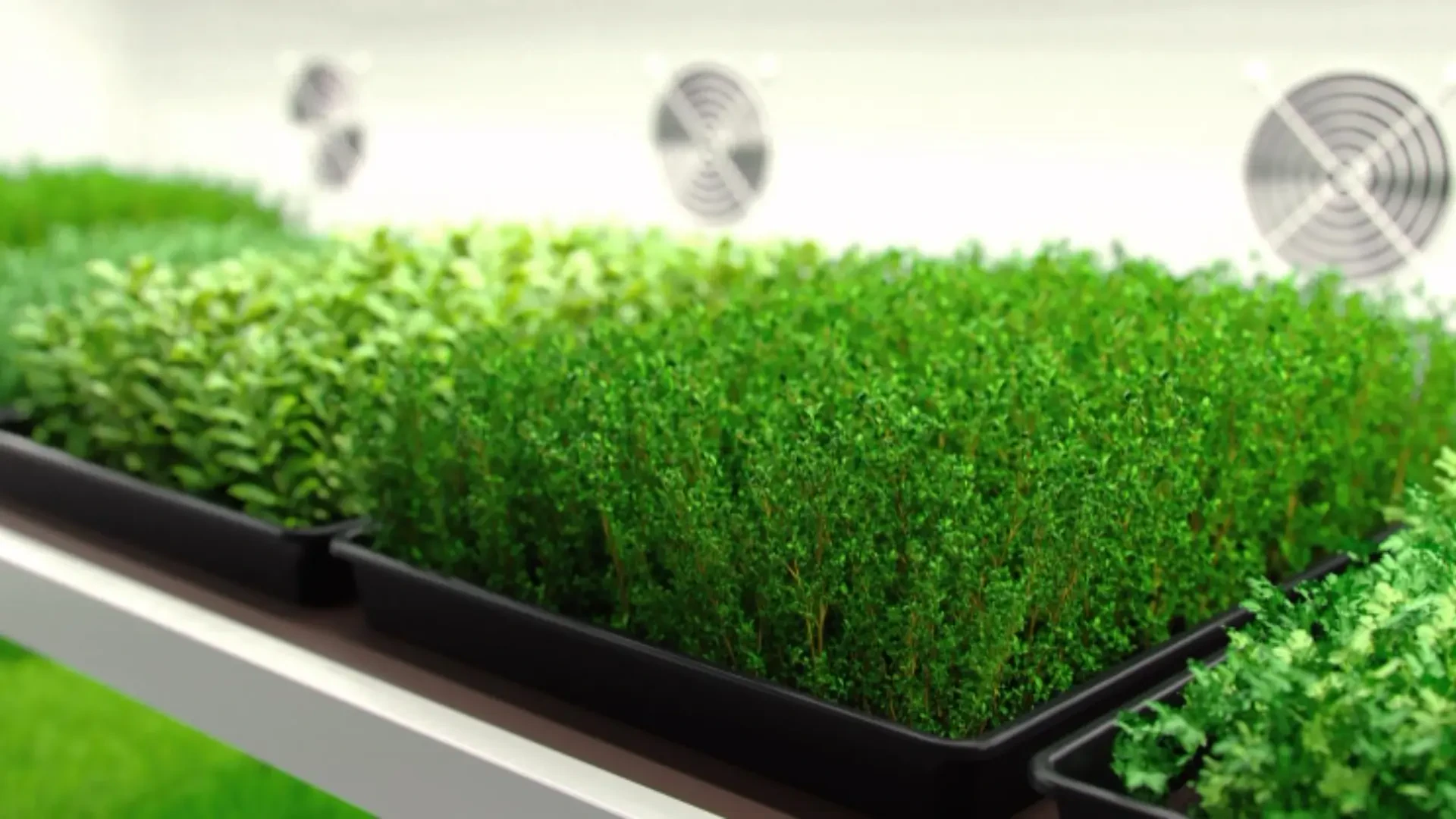 Advanced Air Purification for Agriculture: Enhancing Crop Quality and Growth