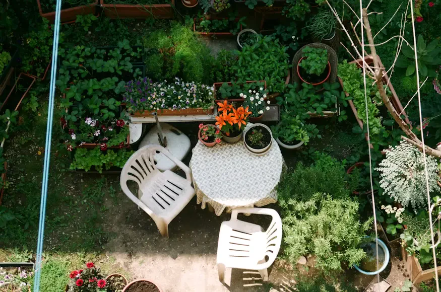 How to Remodel Your Garden on a Budget Without Compromising Style