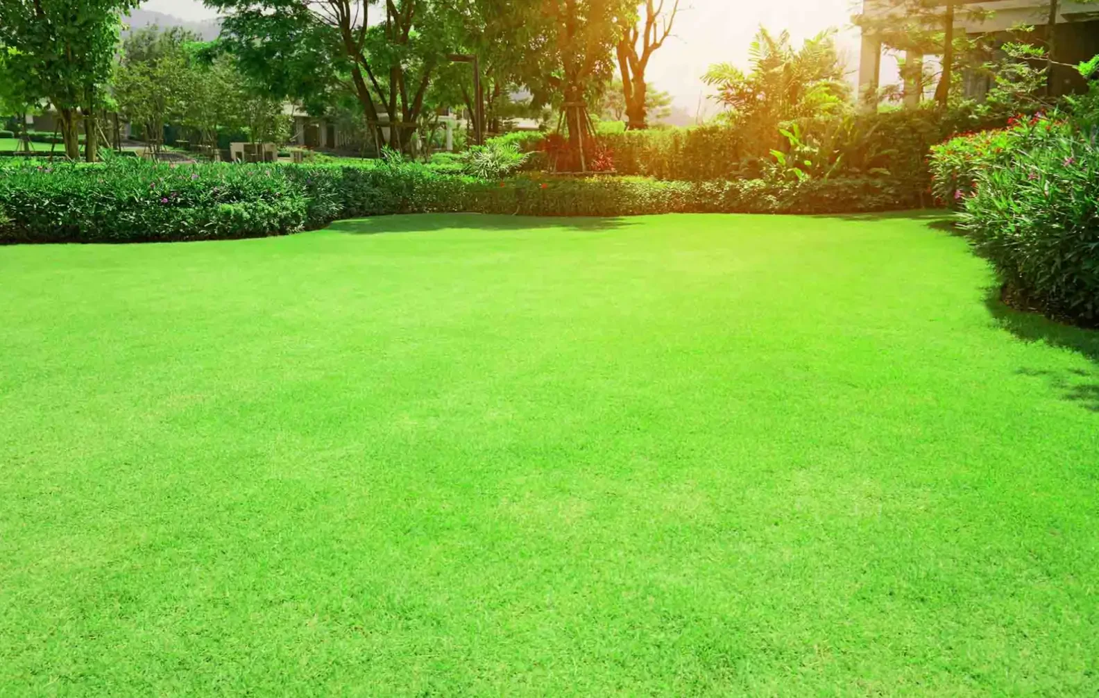 Warm vs Cool Season Grasses Explained: Choosing the Right Type for Your Lawn