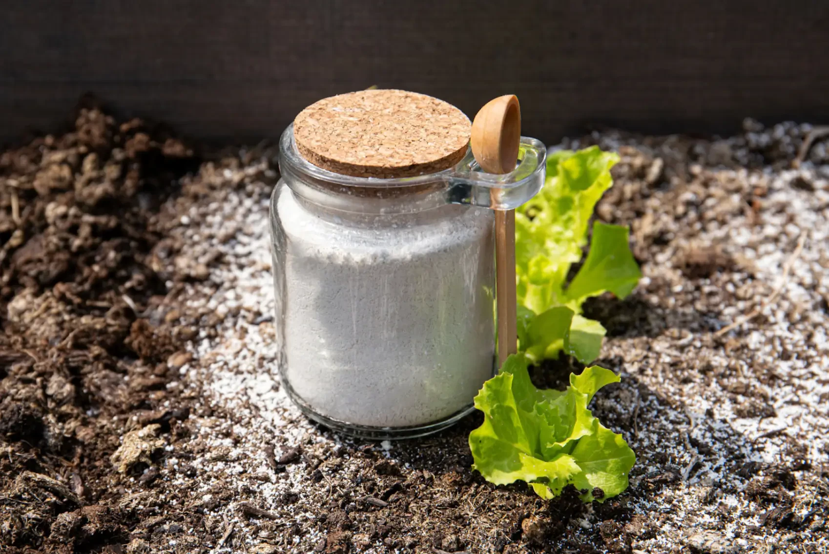 Diatomaceous Earth: Natural Pest Control and Soil Booster