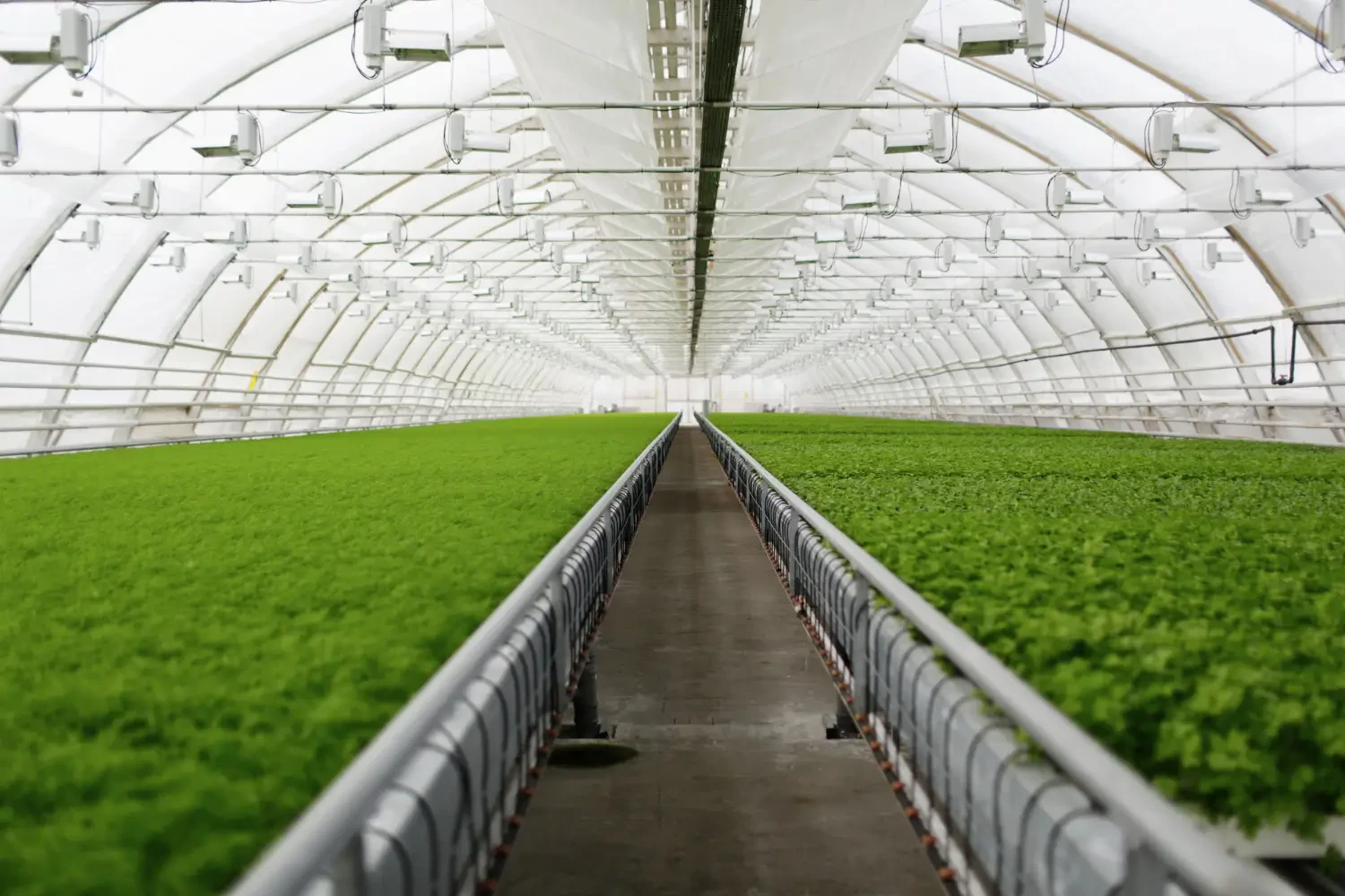 How to Manage Climate Control in Your Greenhouse Year-Round