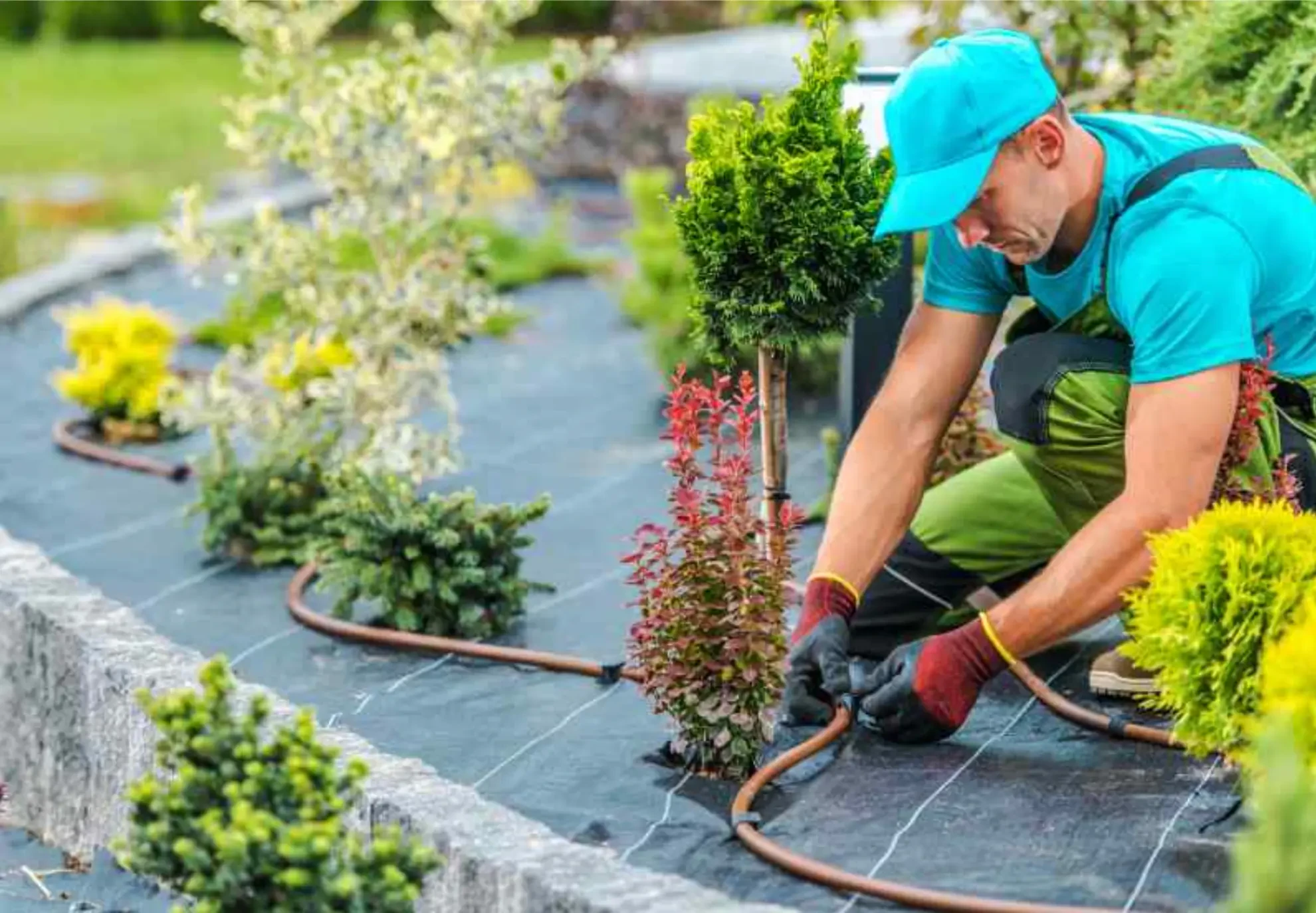 How to Hire the Best Landscape Contractor for Your Project