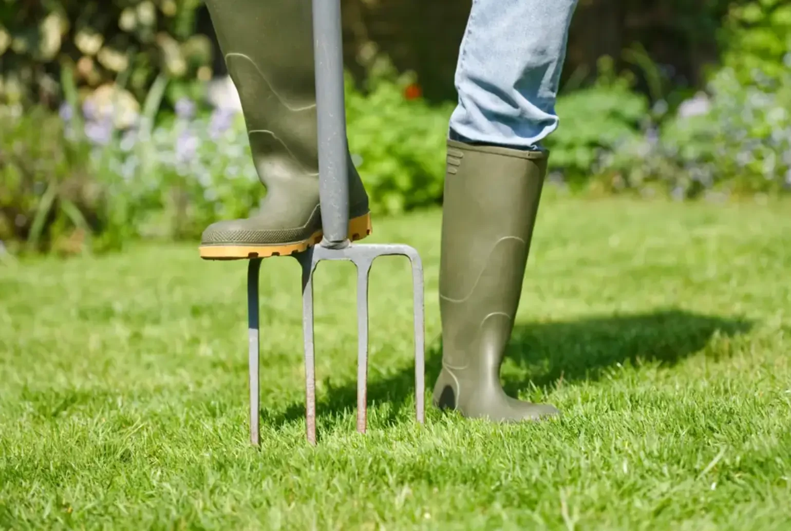 Year-Round Landscape Maintenance Checklist for Homeowners