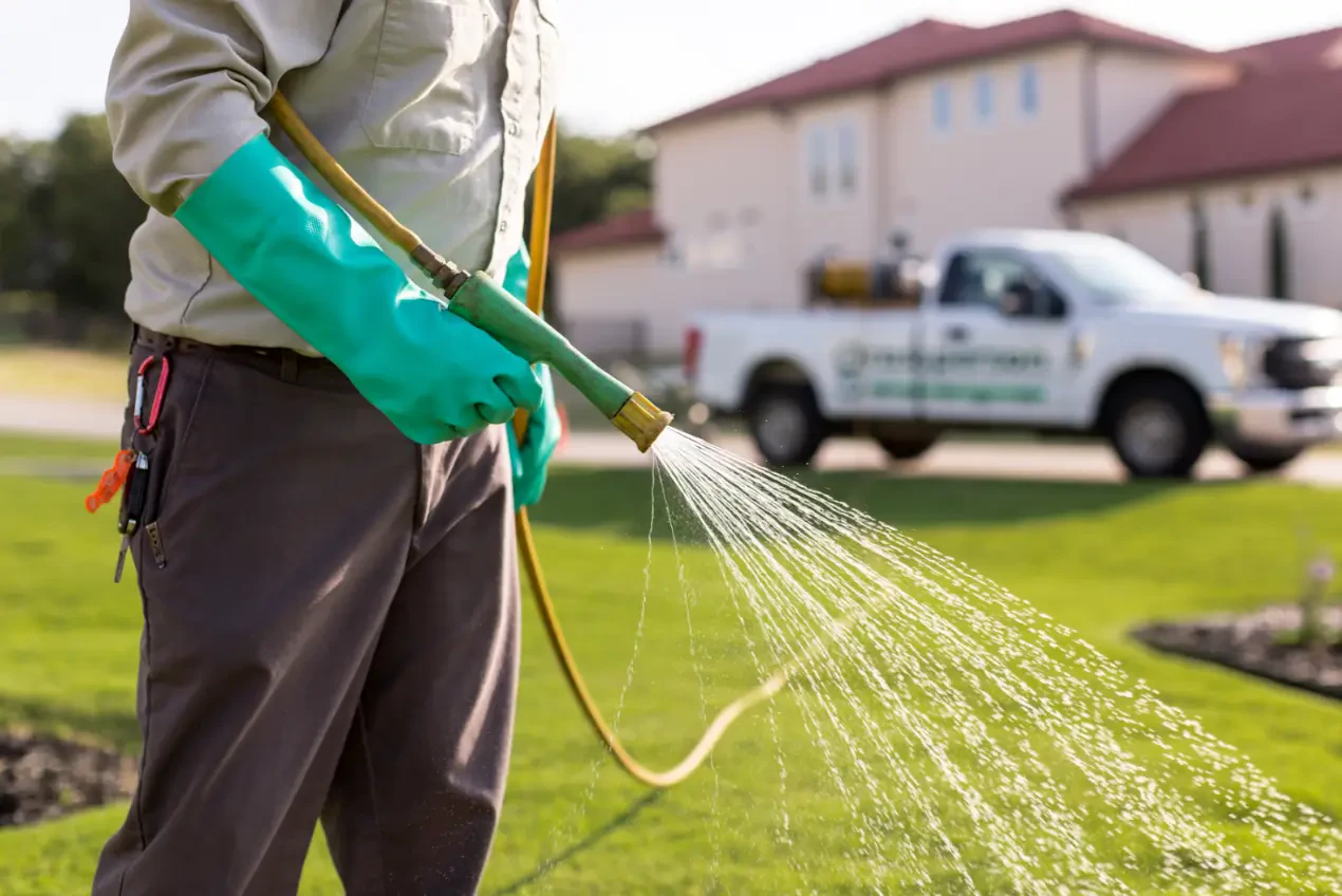 How to Repair a Damaged Lawn or Garden After Heavy Rain