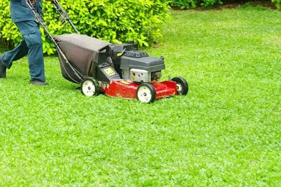 How to Mow Your Lawn Like a Professional	