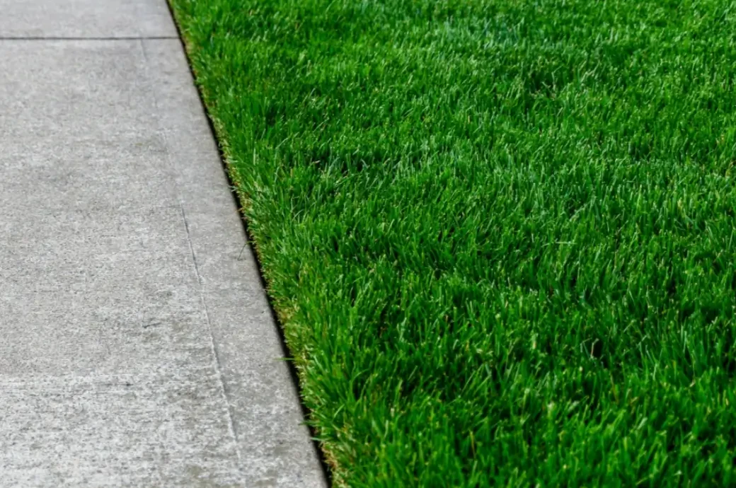 How to Edge Your Lawn for a Clean and Professional Look