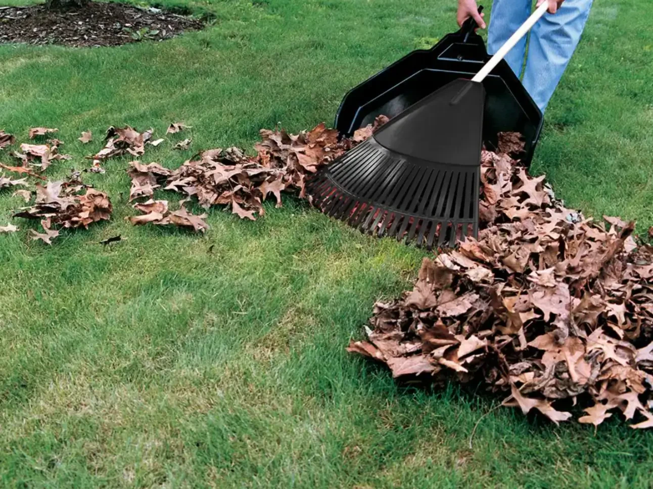 How to Repair a Damaged Lawn or Garden After Heavy Rain