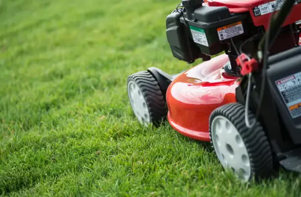 How to Choose the Right Mower for Your Lawn