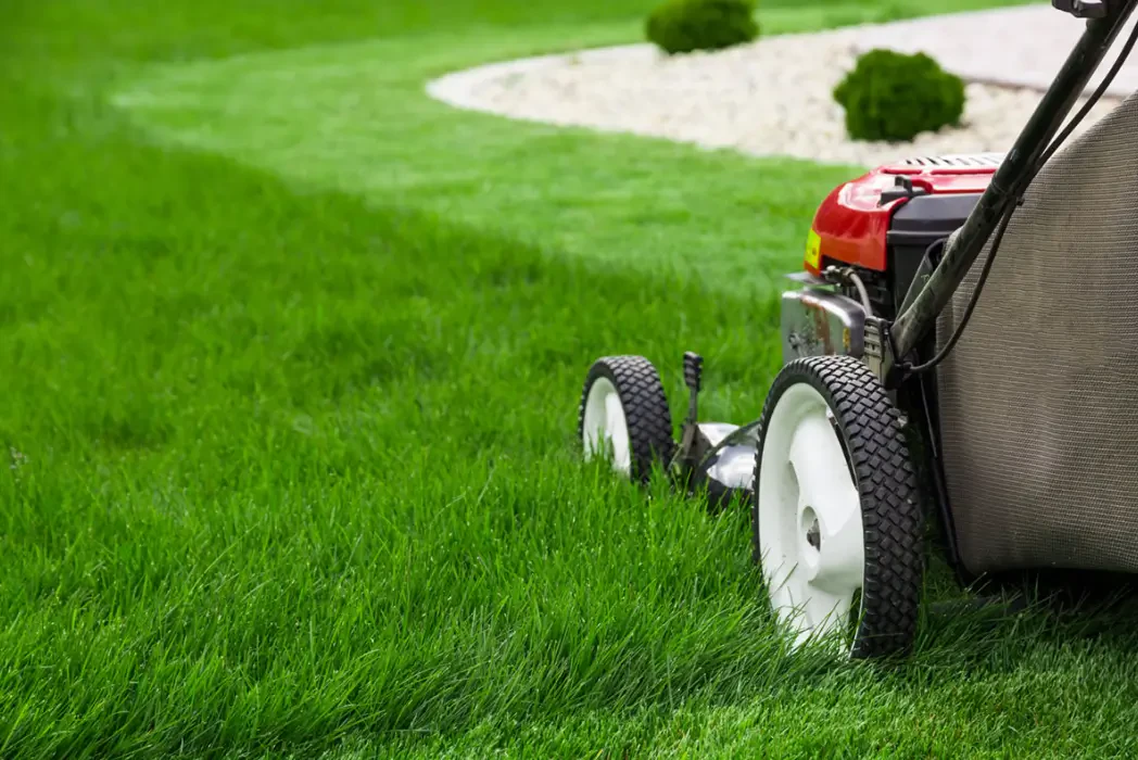 How to Combine Mowing and Edging for a Perfect Lawn