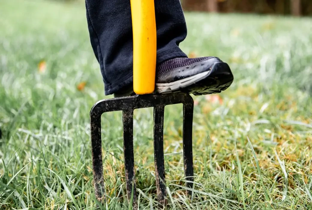 How to Aerate Your Lawn for Thicker, Healthier Grass