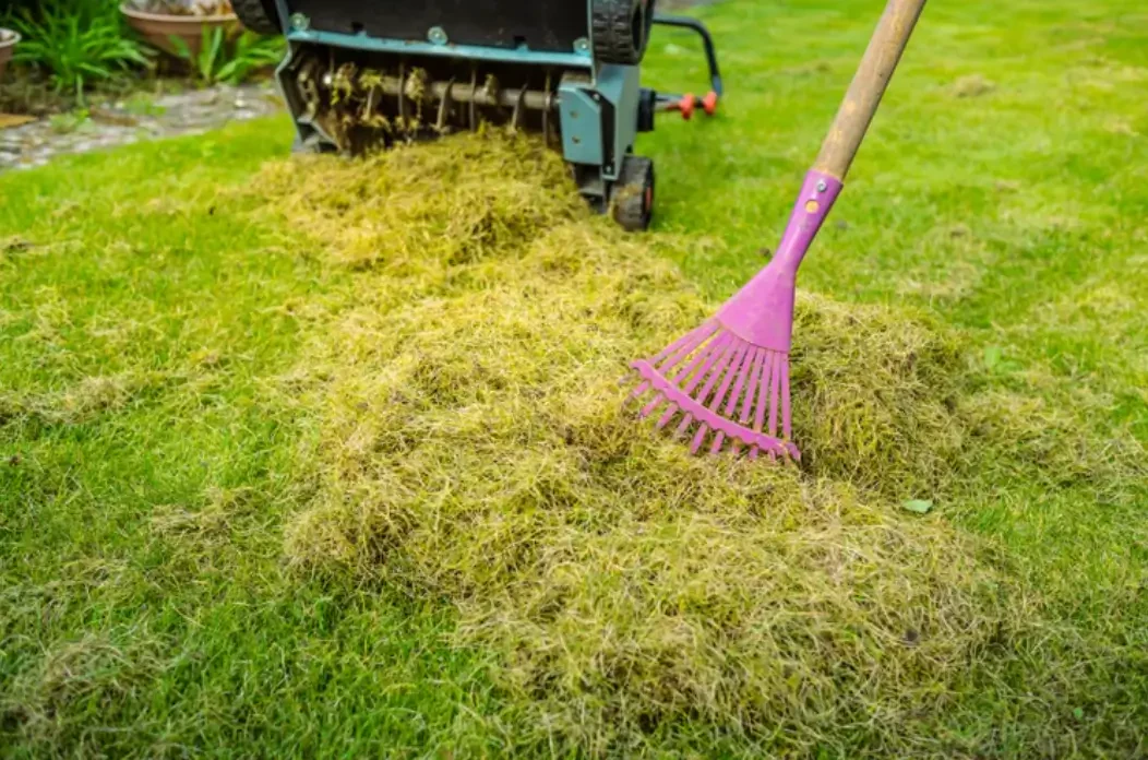 How to Dethatch Your Lawn for a Healthier Yard
