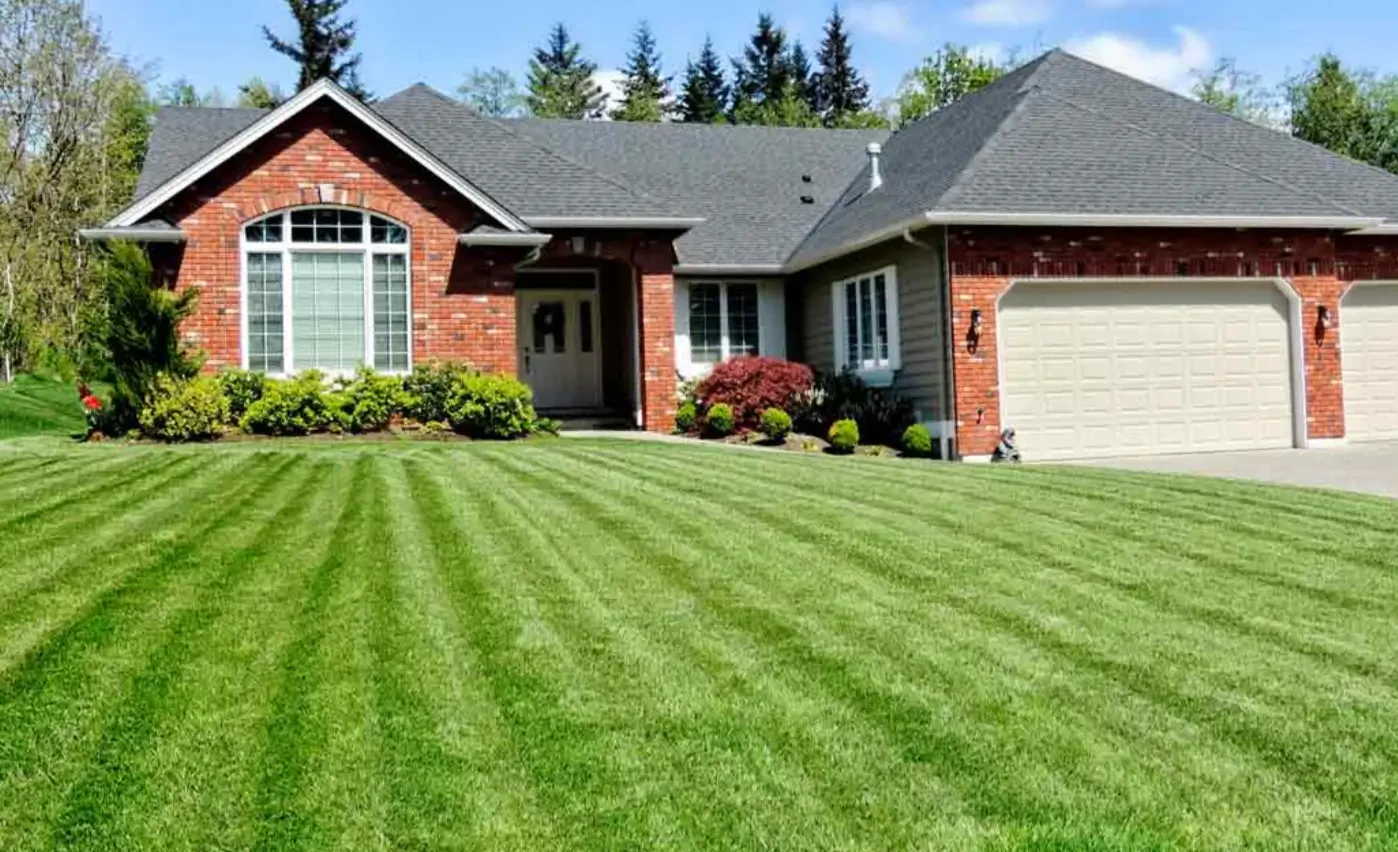 How to Overseed Your Lawn for a Thicker, Greener Yard