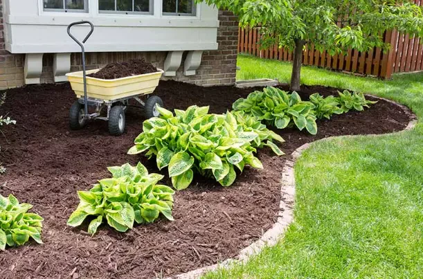 How to Maintain Mulch Beds and Plant Borders
