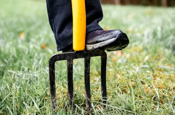 How to Aerate Your Lawn for Thicker, Healthier Grass