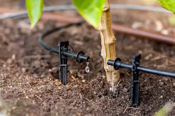 How to Install a Drip Irrigation System for Your Garden