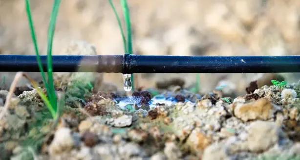 How to Diagnose Common Irrigation System Problems