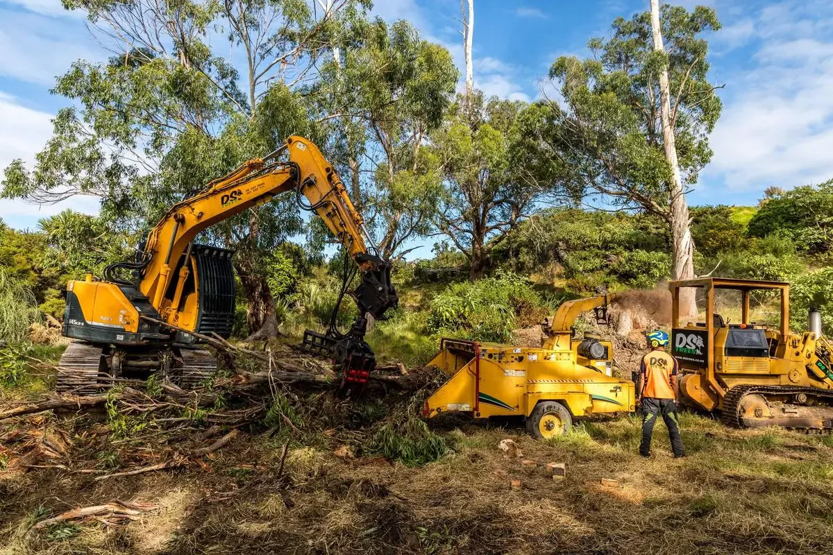How to Safely Remove Trees and Brush from Overgrown Land