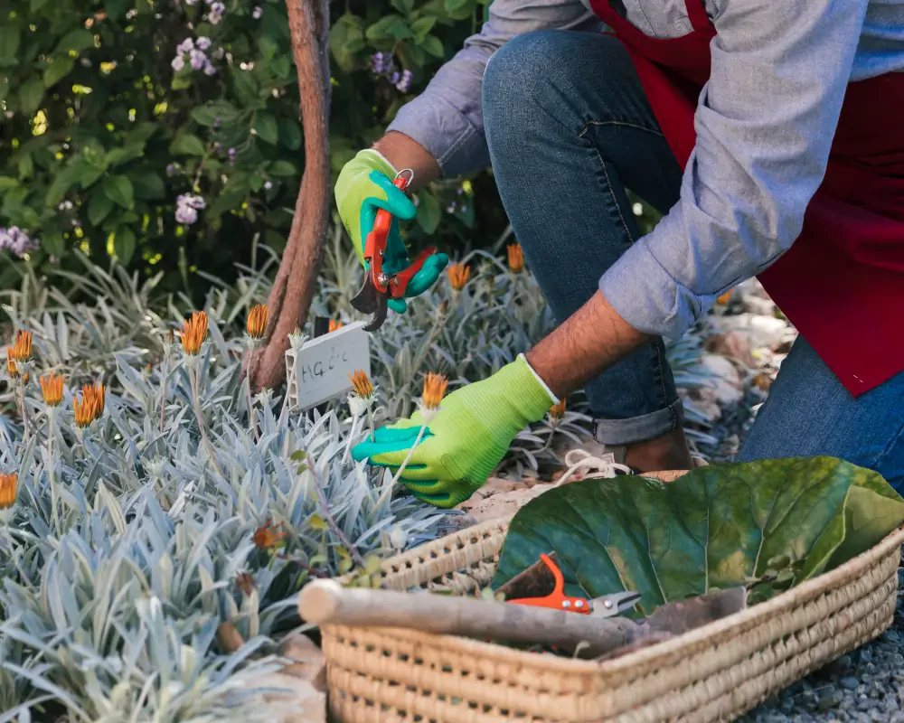 How to Maintain Your Landscape Year-Round: Seasonal Care Tips for a Beautiful Yard