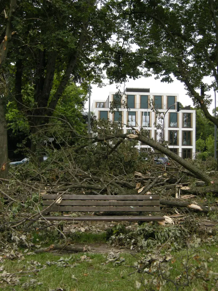 How to Repair Storm-Damaged Landscaping and Restore Your Outdoor Space