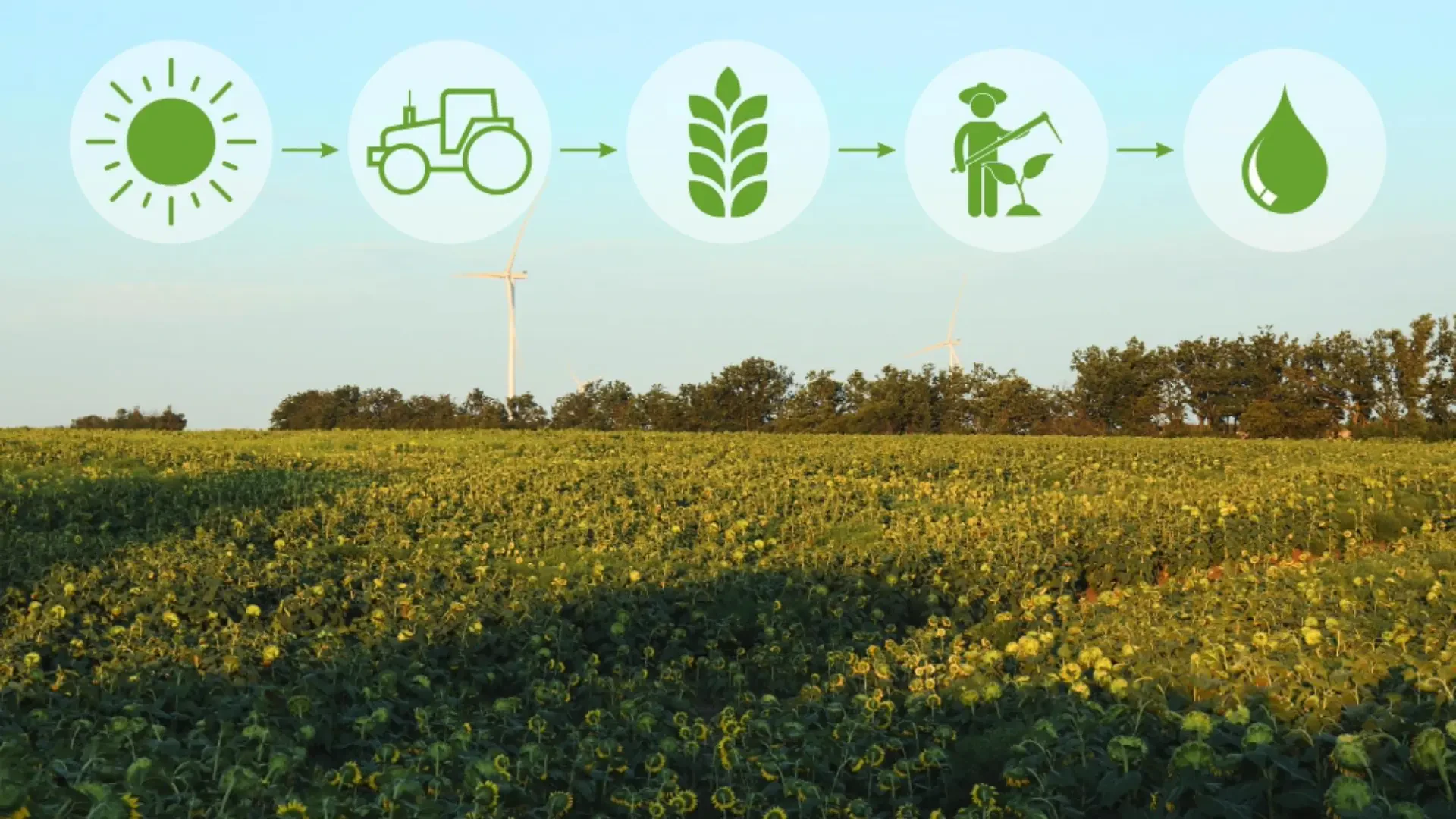 Sustainable Growing Solutions: Eco-Friendly Innovations for Modern Agriculture