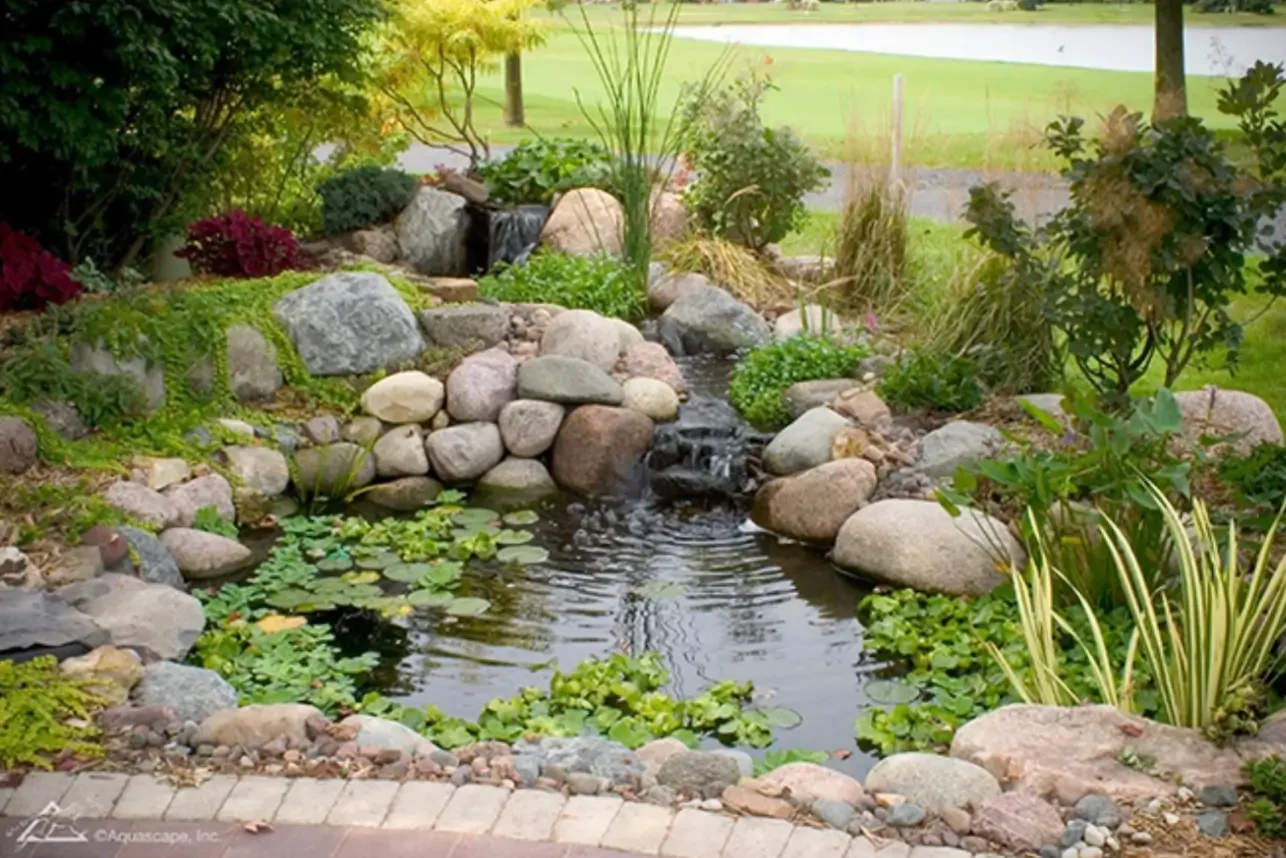 How to Build and Maintain a Backyard Pond for a Peaceful Outdoor Oasis