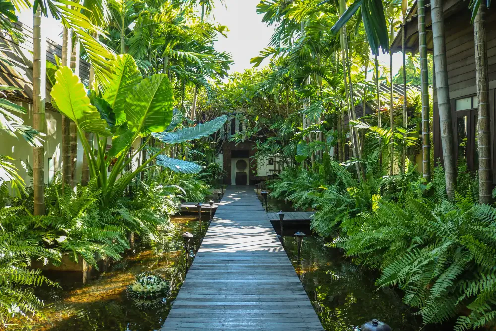How to Create a Sustainable Outdoor Space That’s Beautiful and Eco-Friendly