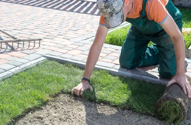 Professional vs DIY Landscape Maintenance: What’s Better?
