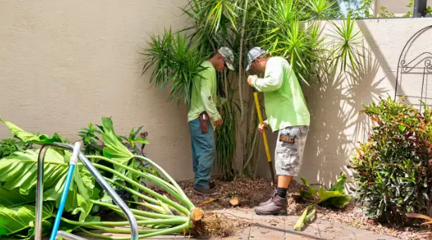 How Often Should You Schedule Landscape Maintenance