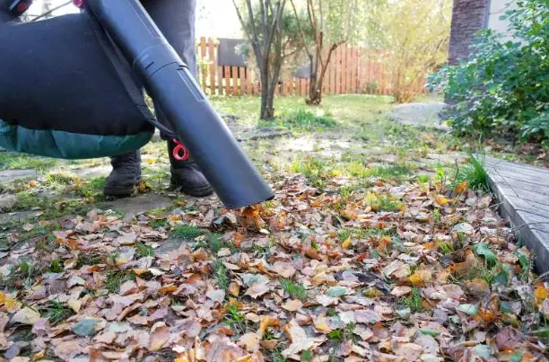 How to Choose the Best Tools for Leaf Cleanup