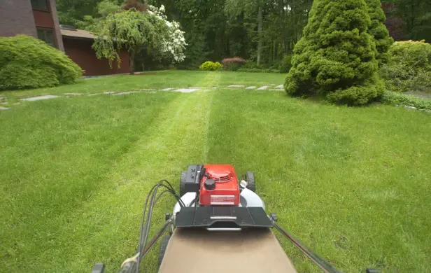 How Often Should You Use Mowing and Edging Services